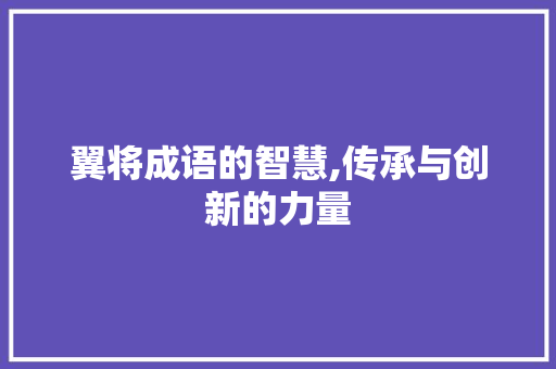 翼将成语的智慧,传承与创新的力量