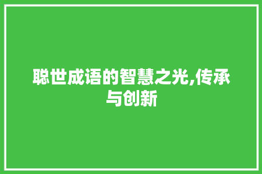 聪世成语的智慧之光,传承与创新