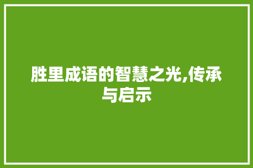 胜里成语的智慧之光,传承与启示
