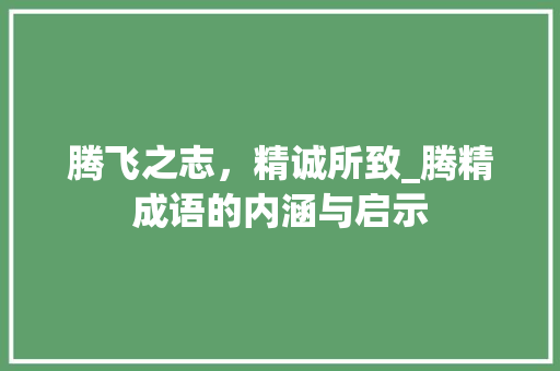 腾飞之志，精诚所致_腾精成语的内涵与启示