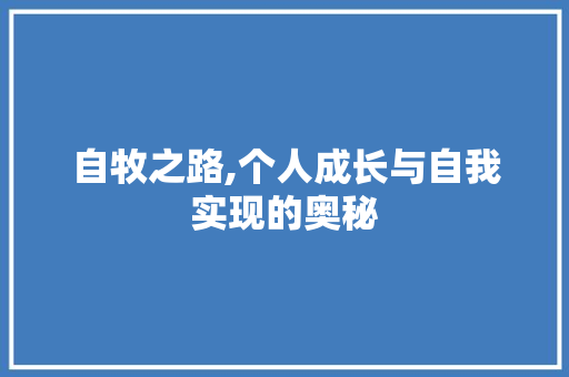 自牧之路,个人成长与自我实现的奥秘