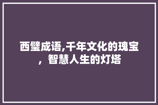 西璧成语,千年文化的瑰宝，智慧人生的灯塔