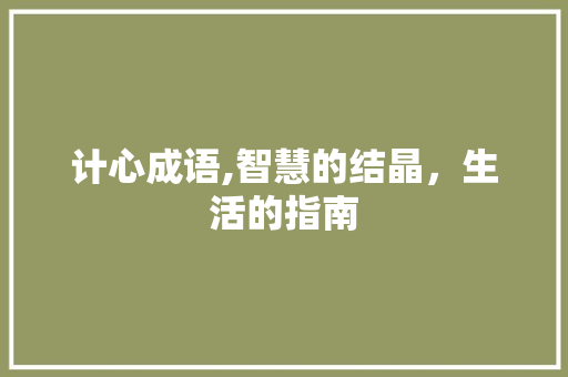 计心成语,智慧的结晶，生活的指南