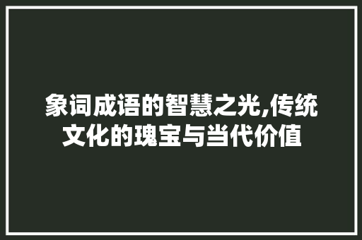 象词成语的智慧之光,传统文化的瑰宝与当代价值
