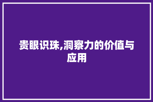 贵眼识珠,洞察力的价值与应用