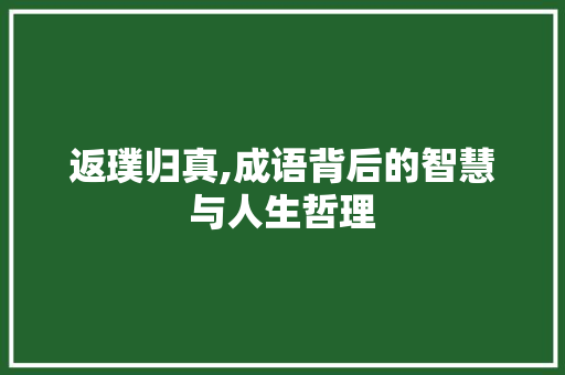 返璞归真,成语背后的智慧与人生哲理 生活类