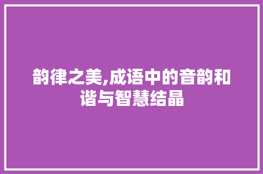 韵律之美,成语中的音韵和谐与智慧结晶