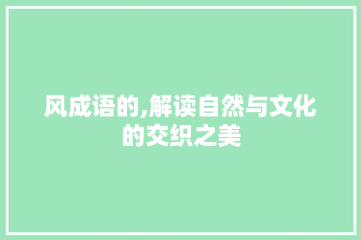 风成语的,解读自然与文化的交织之美