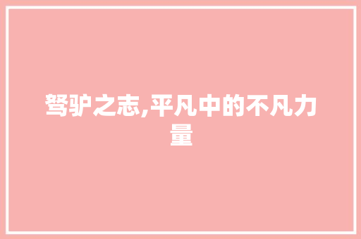 驽驴之志,平凡中的不凡力量 商业文稿