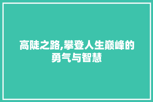 高陡之路,攀登人生巅峰的勇气与智慧 工作总结