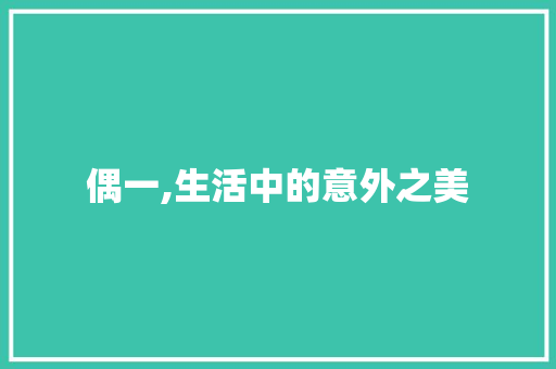 偶一,生活中的意外之美