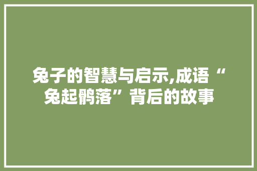 兔子的智慧与启示,成语“兔起鹘落”背后的故事