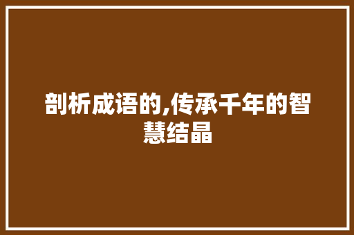 剖析成语的,传承千年的智慧结晶