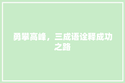 勇攀高峰，三成语诠释成功之路