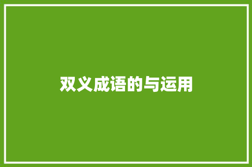双义成语的与运用