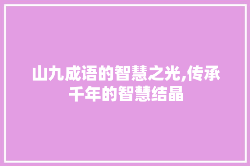 山九成语的智慧之光,传承千年的智慧结晶