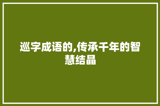 巡字成语的,传承千年的智慧结晶