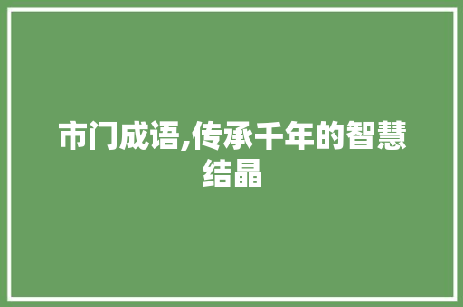 市门成语,传承千年的智慧结晶