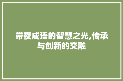 带夜成语的智慧之光,传承与创新的交融