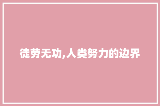 徒劳无功,人类努力的边界