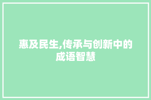 惠及民生,传承与创新中的成语智慧