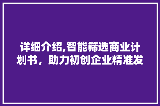 详细介绍,智能筛选商业计划书，助力初创企业精准发展