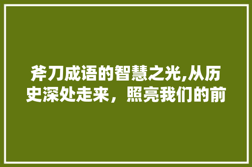 斧刀成语的智慧之光,从历史深处走来，照亮我们的前行之路