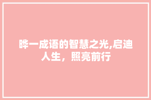 晔一成语的智慧之光,启迪人生，照亮前行