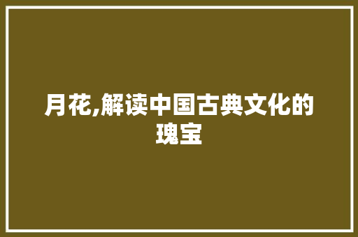 月花,解读中国古典文化的瑰宝