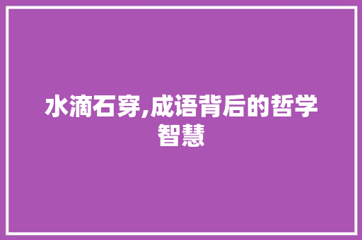 水滴石穿,成语背后的哲学智慧