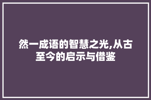 然一成语的智慧之光,从古至今的启示与借鉴
