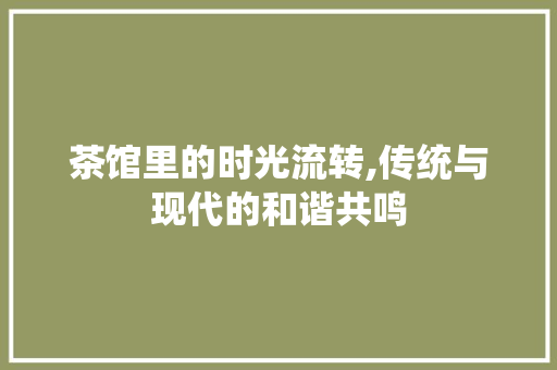 茶馆里的时光流转,传统与现代的和谐共鸣