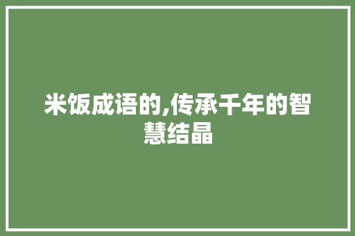 米饭成语的,传承千年的智慧结晶