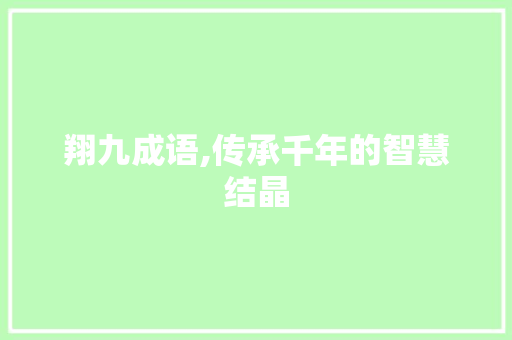 翔九成语,传承千年的智慧结晶