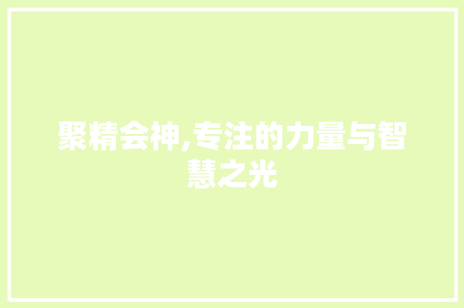 聚精会神,专注的力量与智慧之光
