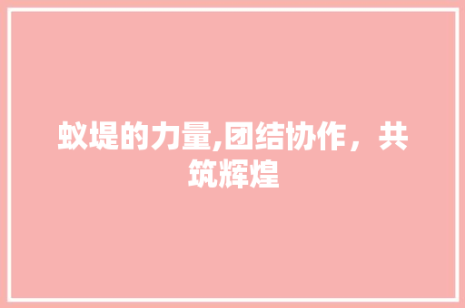 蚁堤的力量,团结协作，共筑辉煌