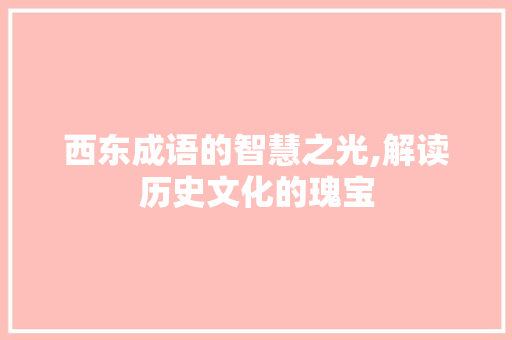 西东成语的智慧之光,解读历史文化的瑰宝