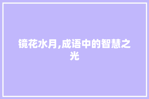 镜花水月,成语中的智慧之光