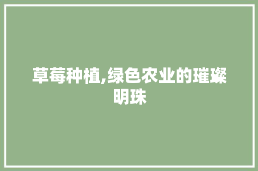 草莓种植,绿色农业的璀璨明珠