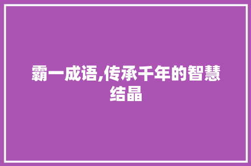 霸一成语,传承千年的智慧结晶
