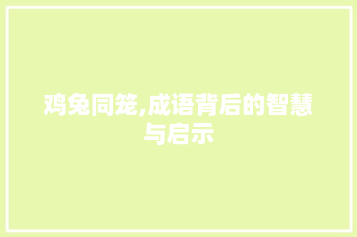 鸡兔同笼,成语背后的智慧与启示
