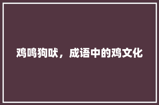 鸡鸣狗吠，成语中的鸡文化