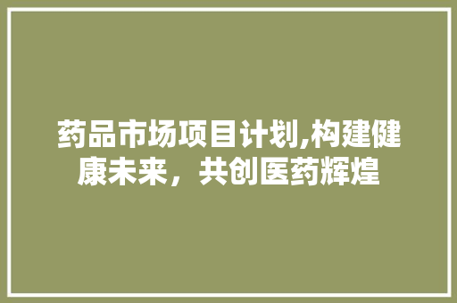 药品市场项目计划,构建健康未来，共创医药辉煌