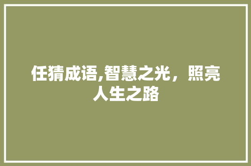 任猜成语,智慧之光，照亮人生之路