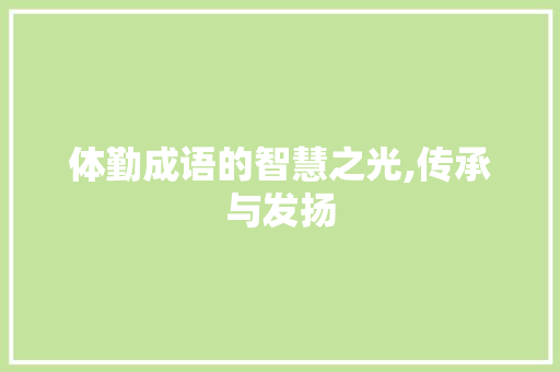 体勤成语的智慧之光,传承与发扬