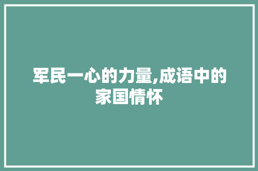 军民一心的力量,成语中的家国情怀
