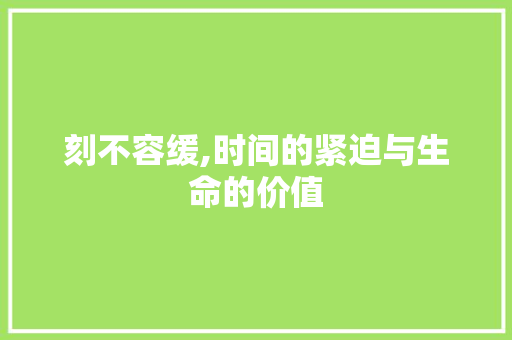 刻不容缓,时间的紧迫与生命的价值 生活类