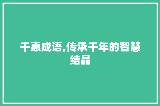 千惠成语,传承千年的智慧结晶