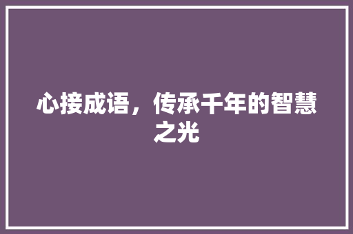 心接成语，传承千年的智慧之光