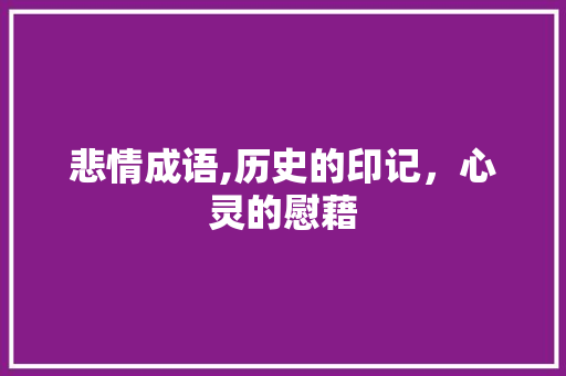 悲情成语,历史的印记，心灵的慰藉